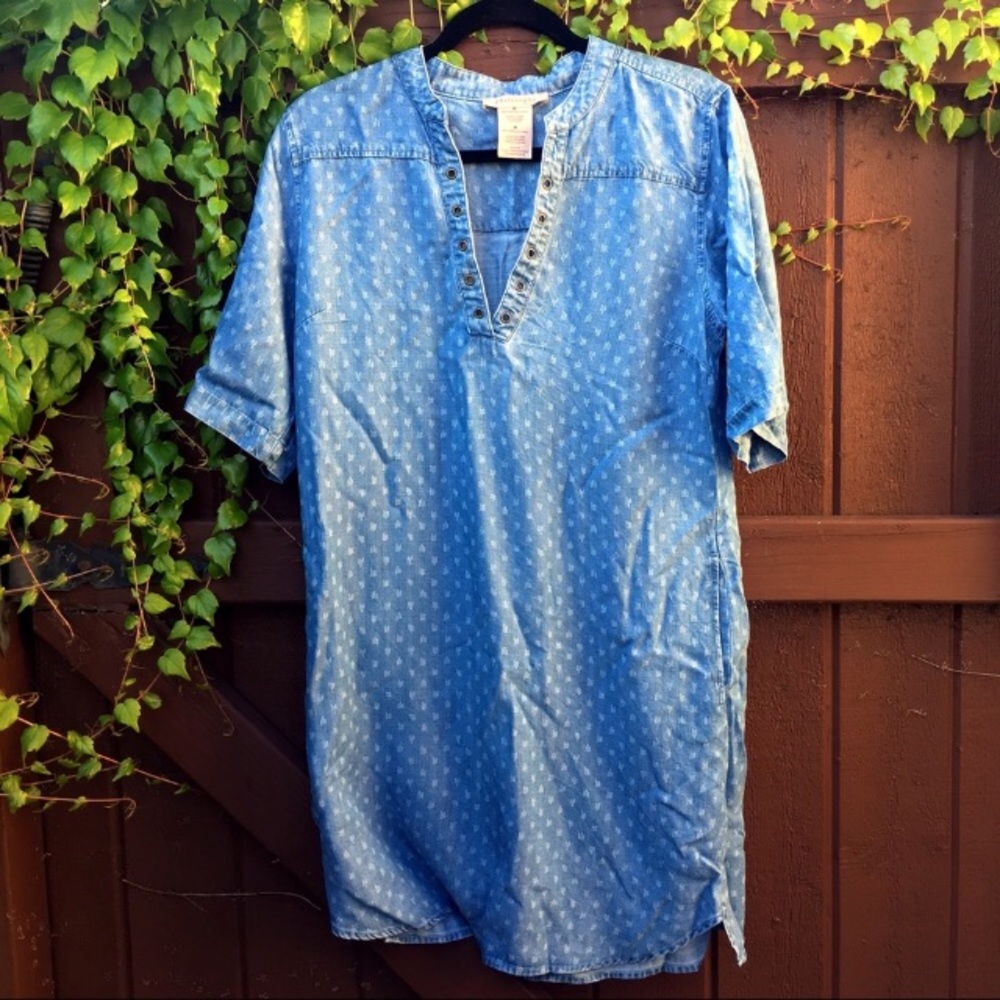 Philosophy chambray Dress
